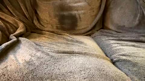 join the circle online show from 2, 12, 2024