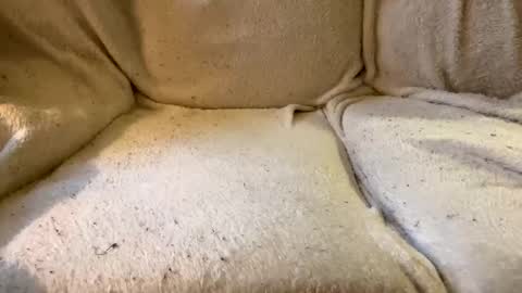 join the circle online show from 17, 12, 2024