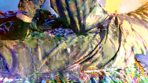 dan online show from 5, 3, 2025