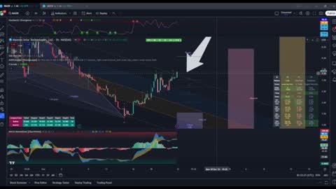 Alex C. online show from 25, 12, 2024