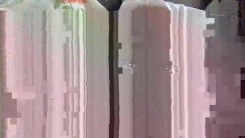 clubtm002 online show from 29, 4, 2026