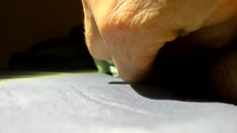 Snapshot of cmen420 chatting on 10, 1, 2026 cmen420 online show from 10, 1, 2026