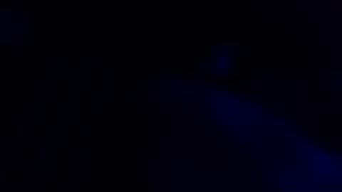 Cocolino  online show from 7, 5, 2026