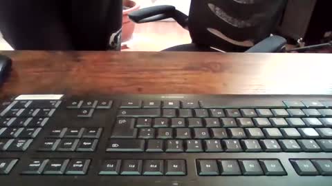 cock4onenight online show from 12, 3, 2025