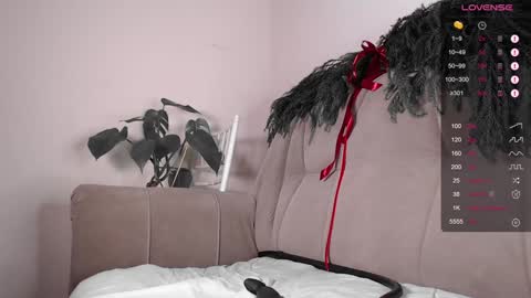 Herman online show from 8, 12, 2024