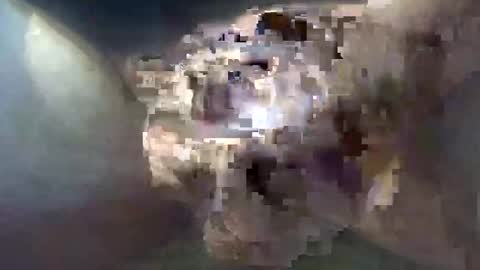 cocktoys online show from 30, 10, 2025