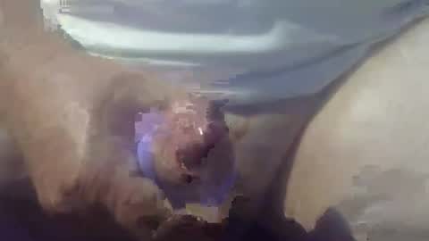 cocktoys online show from 14, 3, 2026