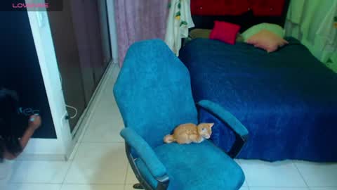 coco_macr online show from 5, 7, 2026