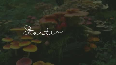 Sunnye Daze online show from 24, 3, 2026