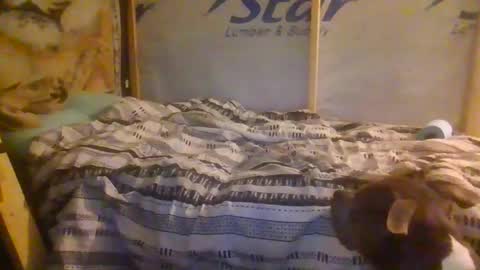 lickerpro69 online show from 13, 2, 2026