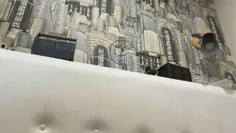 Snapshot of colambus83 chatting on 8, 3, 2026 colambus83 online show from 8, 3, 2026