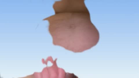 Snapshot of cool_runnings11 chatting on 24, 2, 2026 whatever you want it to be online show from 24, 2, 2026