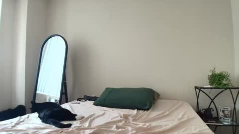 coriaddams online show from 12, 7, 2026