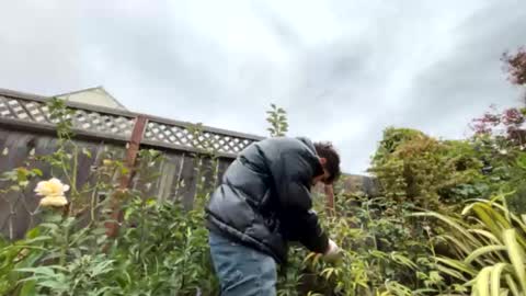 coronelking online show from 28, 9, 2025