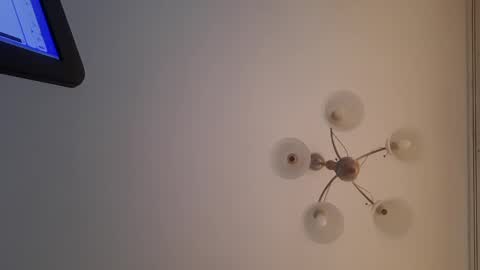 Snapshot of corvus4 chatting on 30, 12, 2024 Corvus online show from 30, 12, 2024