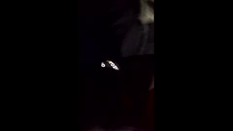 cory58596 online show from 14, 2, 2026