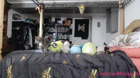 Amethyst Cox online show from 26, 3, 2026