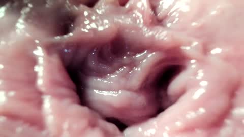 Im Courtney Nice to meet youFollow meInstagram courtneyluv778 online show from 22, 1, 2025