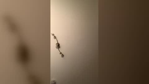 cp1a online show from 18, 12, 2025