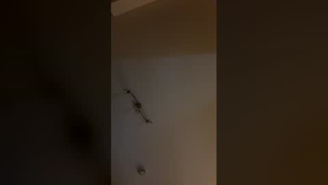 cp1a online show from 23, 3, 2026