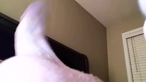 Cranada777 online show from 31, 12, 2024