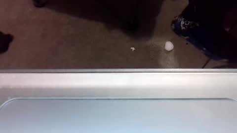 craveitoften online show from 31, 1, 2025