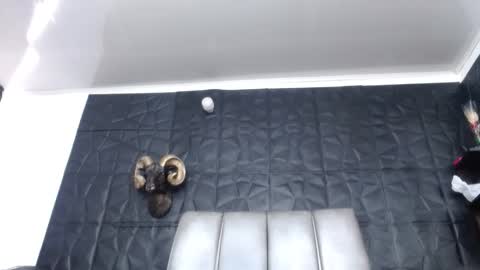 Hanna  online show from 15, 3, 2026