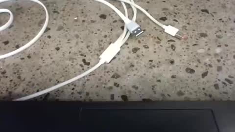 Snapshot of cruelworldxxx chatting on 22, 2, 2026 cruelworldxxx online show from 22, 2, 2026