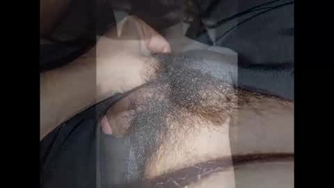 Snapshot of cum_l chatting on 13, 1, 2026 Noha online show from 13, 1, 2026