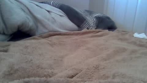 Snapshot of cummbumm69 chatting on 12, 7, 2026 cummbumm69 online show from 12, 7, 2026