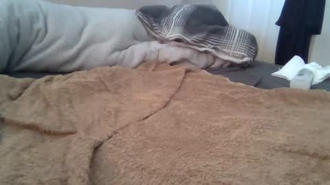 Snapshot of cummbumm69 chatting on 2, 8, 2026 cummbumm69 online show from 2, 8, 2026