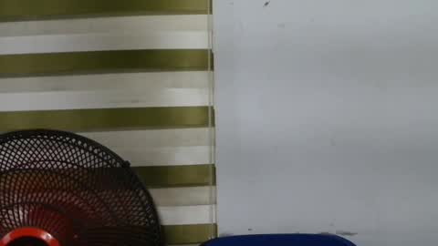 cupxcakex online show from 21, 4, 2026