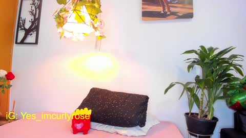 Rose online show from 28, 1, 2025