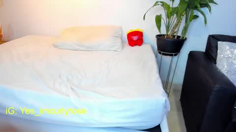 Rose online show from 30, 1, 2025