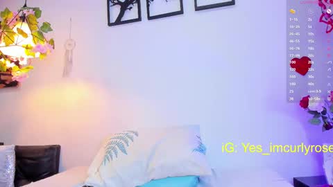 Rose online show from 15, 2, 2025