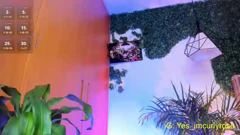 Rose online show from 24, 9, 2025