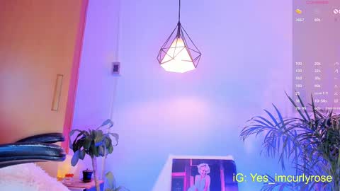 Rose online show from 7, 10, 2025