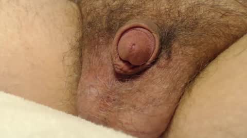 Snapshot of curve66 chatting on 4, 12, 2025 curve66 online show from 4, 12, 2025