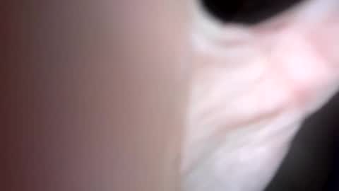 Snapshot of curvy24777 chatting on 1, 2, 2025 curvy24777 online show from 1, 2, 2025