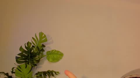 Snapshot of cute_ebonny chatting on 22, 1, 2025 Stacy online show from 22, 1, 2025