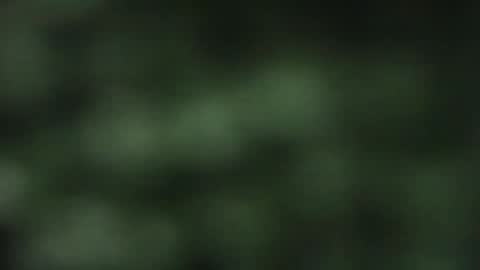 cuteeboy online show from 18, 10, 2025