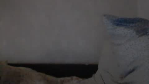 Snapshot of cutekattie chatting on 8, 12, 2024 cutekattie online show from 8, 12, 2024