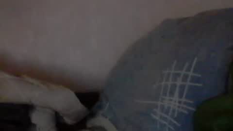 Snapshot of cutekattie chatting on 9, 1, 2025 cutekattie online show from 9, 1, 2025