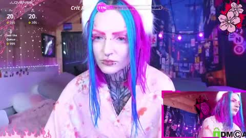 Neko online show from 21, 5, 2026