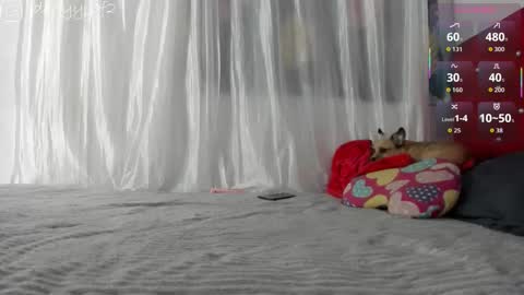 daani_hott online show from 9, 1, 2026