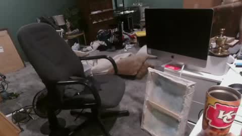 daddydic120402 online show from 28, 7, 2026