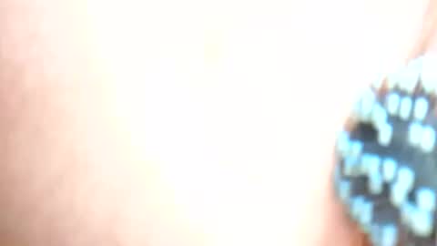 daddydigbick87 online show from 29, 10, 2025