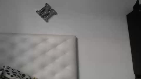 tayler online show from 24, 4, 2026