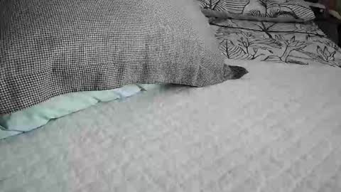 daddyslittleebony online show from 29, 4, 2026