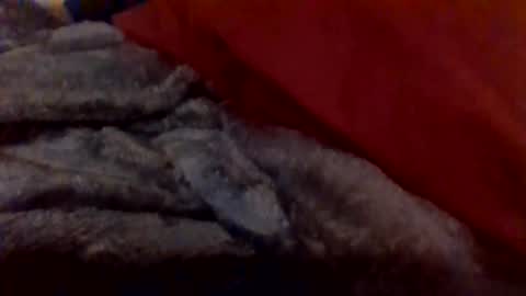 Snapshot of daddywhite88 chatting on 14, 1, 2026 daddywhite88 online show from 14, 1, 2026